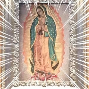 Meet your Posher, Borys